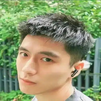丁椿柳
